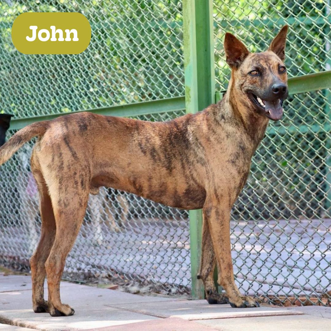 John